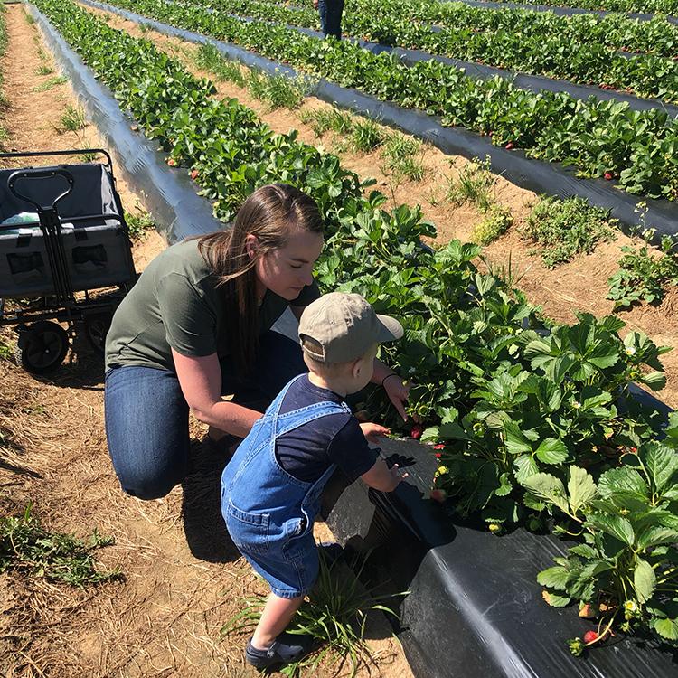 A Mother-Son Farm Passport Adventure